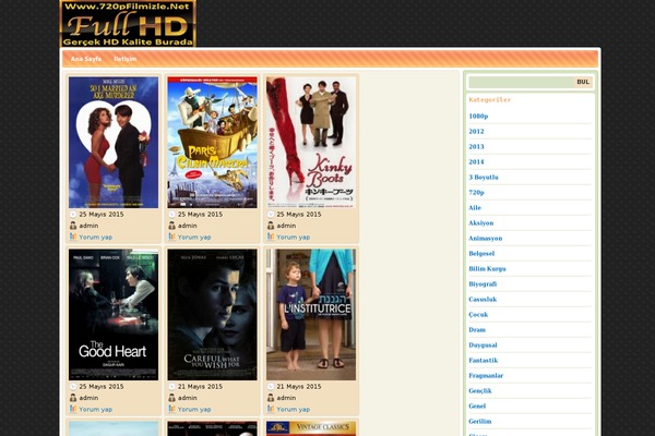 Basizlev1 theme site design template sample