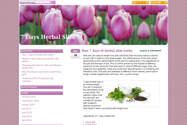 Pink Tulip theme site design template sample