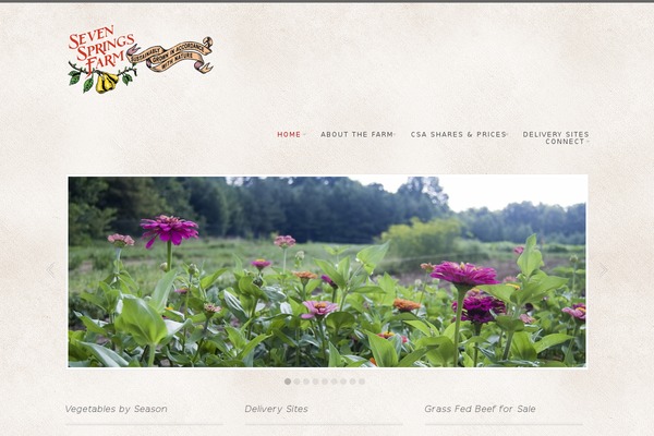 The Cotton theme site design template sample