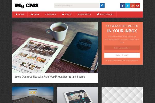 SociallyViral theme site design template sample