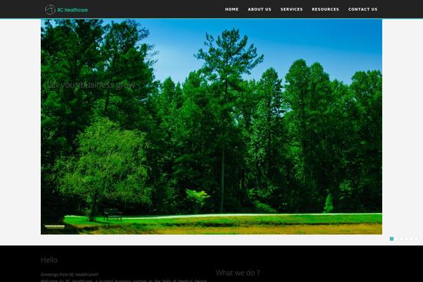 Blade theme site design template sample