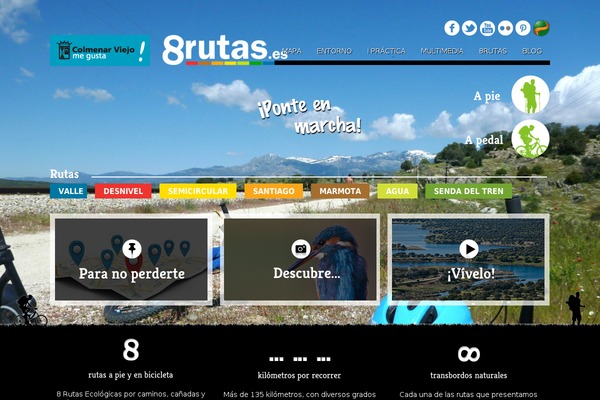 Site using Twitter Tweets Box plugin