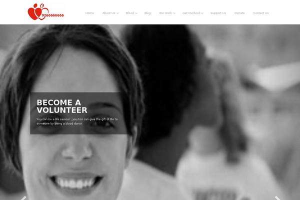 Site using Rt19-extentions plugin