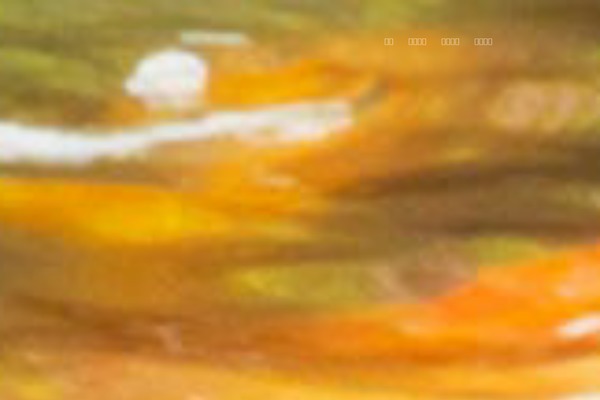 9doe.com site used Wing-preview