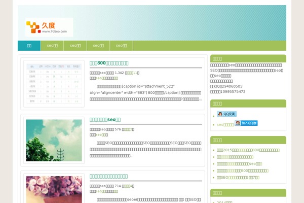 9dseo.com site used Jishuzh