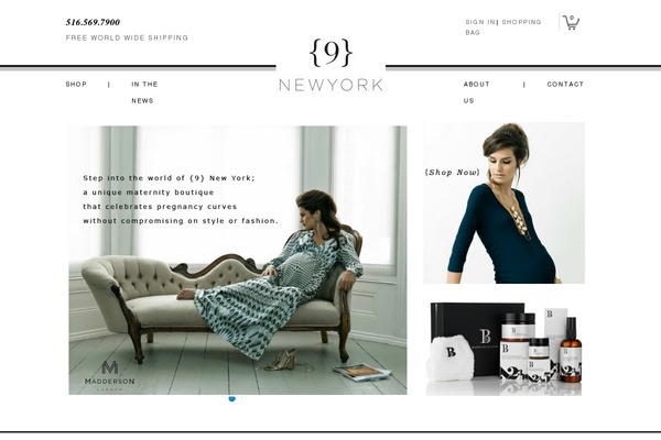 9newyork.com site used Wp-responsive109