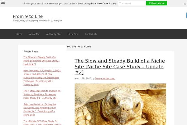 Site using Thrive-visual-editor plugin