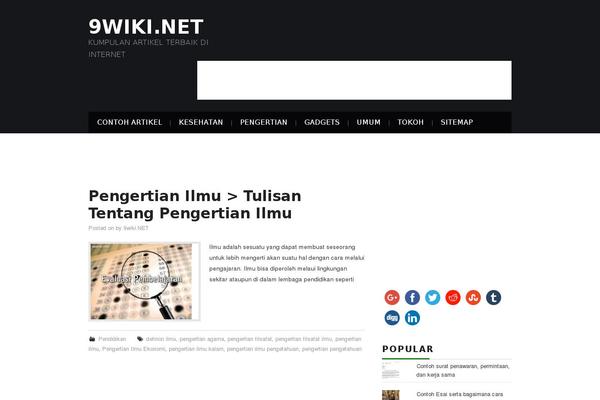 Site using WP External Links (nofollow new window seo) plugin
