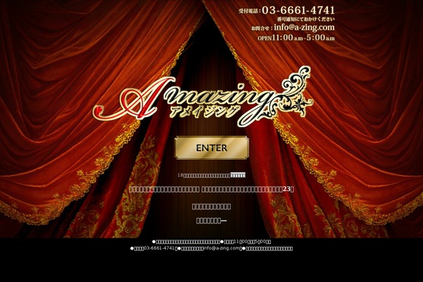 a-zing.com site used Wp
