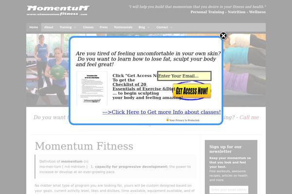 Momentum theme site design template sample