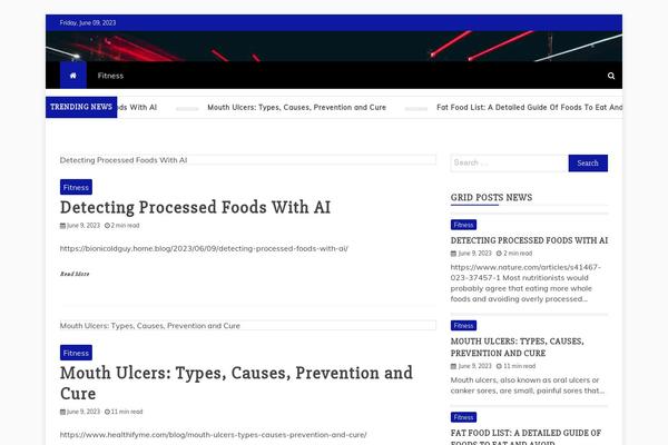 Fastnews theme site design template sample