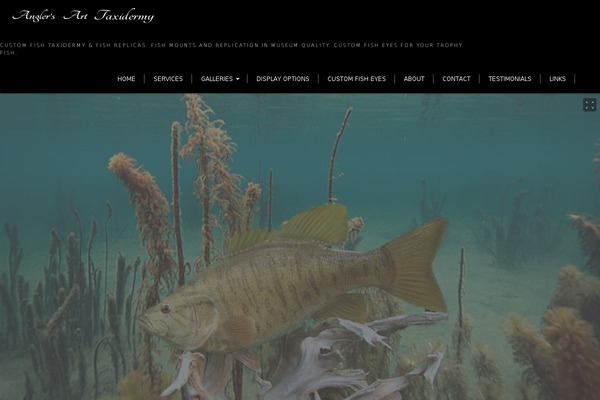 Expression theme site design template sample