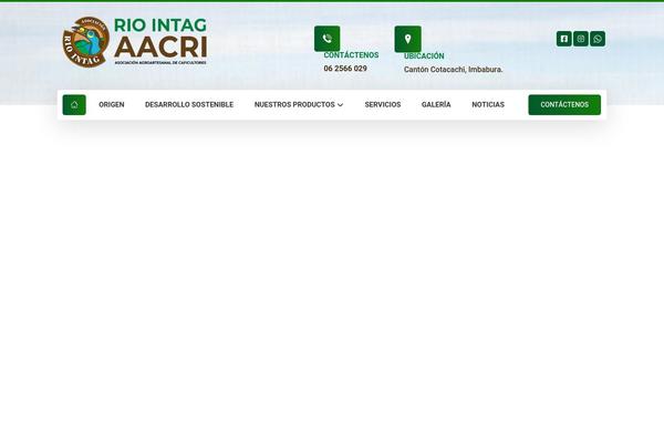 Xtra theme site design template sample