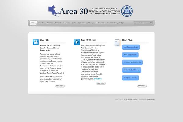 TheProfessional theme site design template sample