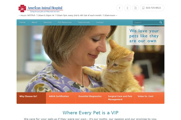 aahneenah.com site used Healthpress Theme
