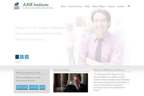 aaie theme websites examples