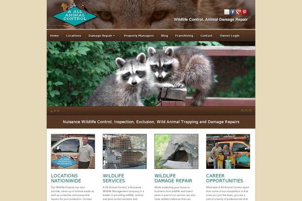 Akita theme site design template sample