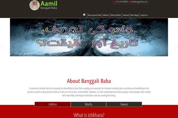 wa theme websites examples