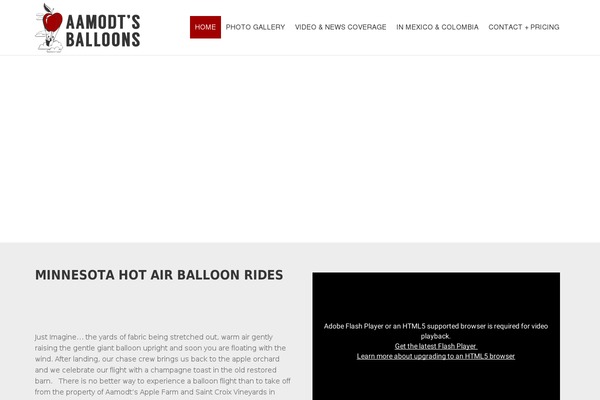 Pilot theme site design template sample
