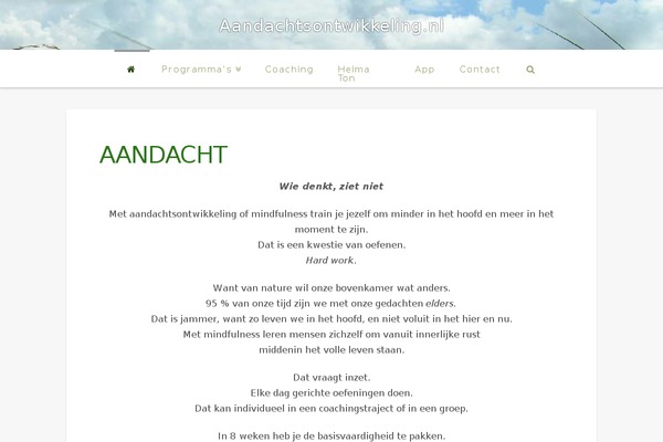 aandacht theme websites examples