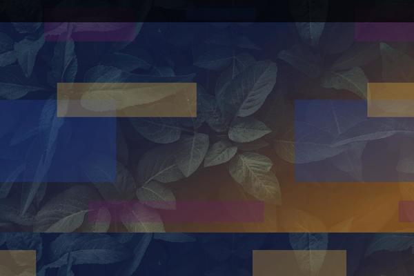 aangeschotenwild.com site used Faw-2019