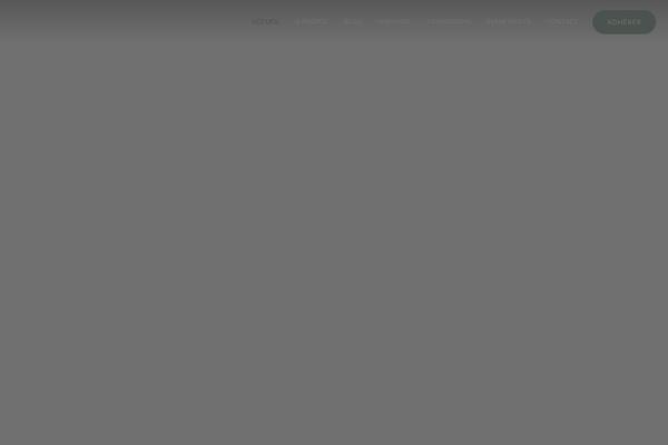 Site using Wp-ajax-query-shortcode plugin