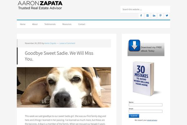 Site using Better Click To Tweet plugin