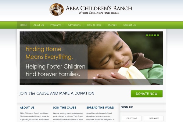 The-cause theme site design template sample