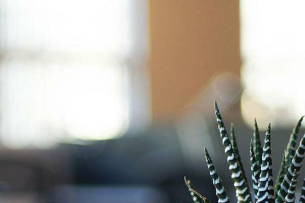 Twenty Twenty theme site design template sample