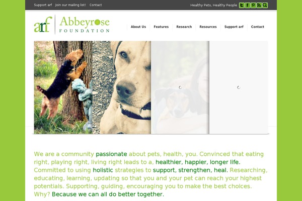 Corona theme site design template sample