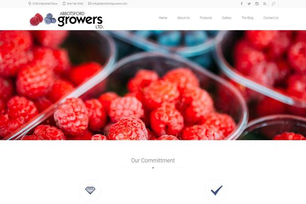 Xenia theme site design template sample