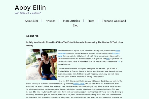 Satorii theme site design template sample