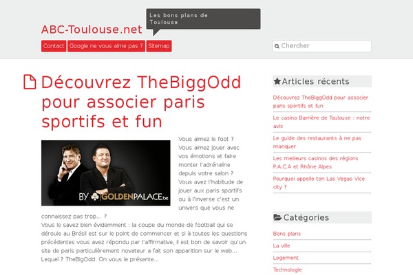 AlbinoMouse theme site design template sample
