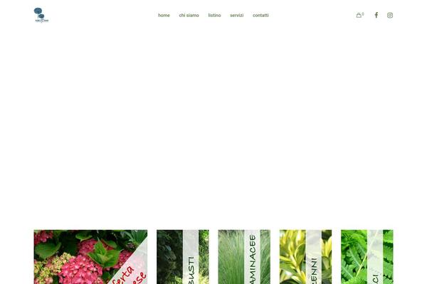 Site using Woo-variations-table-grid plugin