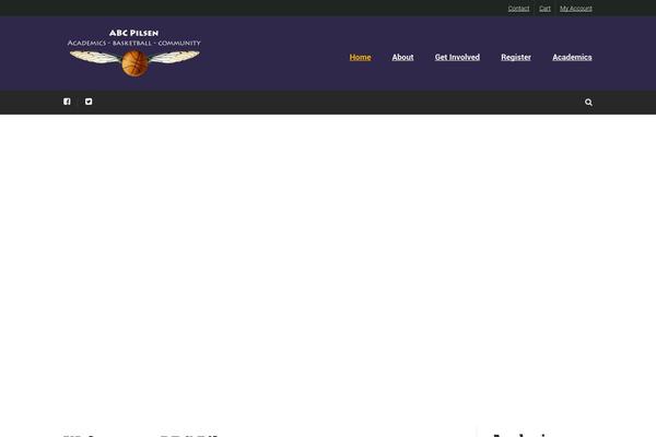 Sport theme site design template sample