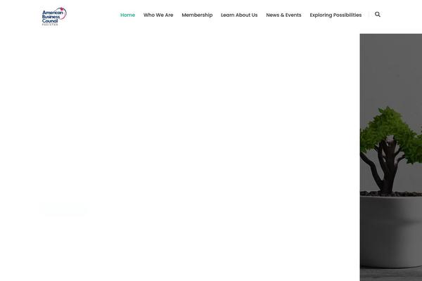 abcpk.org.pk site used Wellinor