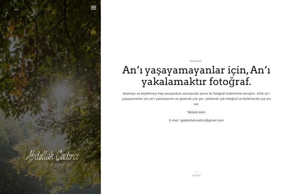 Ichiban theme site design template sample