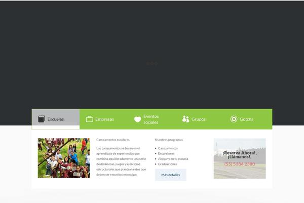 Site using Gravityforms-master plugin