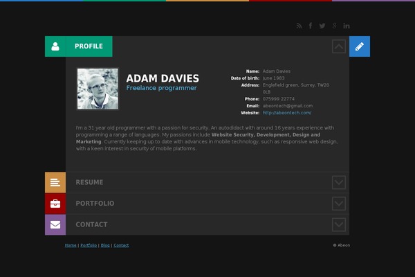 Cv theme site design template sample