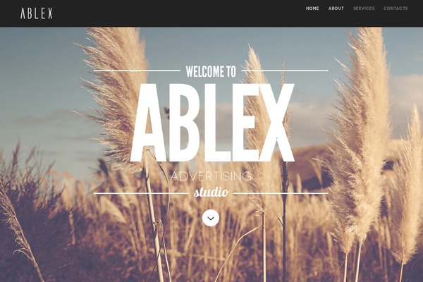 Mercurial theme site design template sample