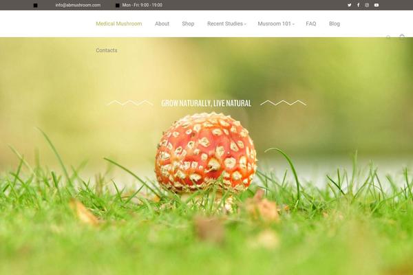 Site using Gt3-photo-video-gallery plugin