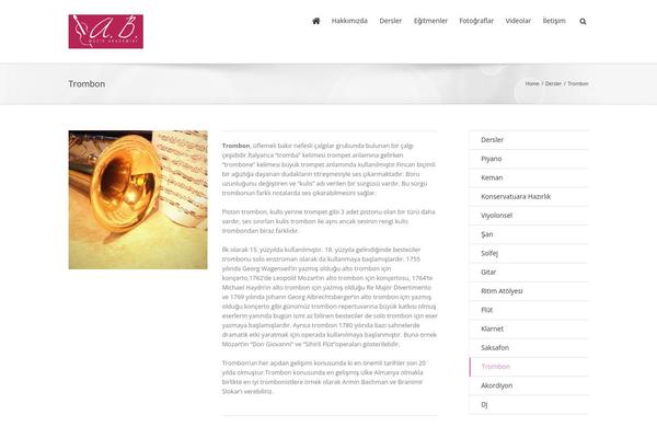 Site using Srizon-facebook-album-pro plugin