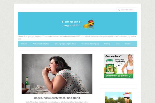 Lifestyle Pro theme site design template sample
