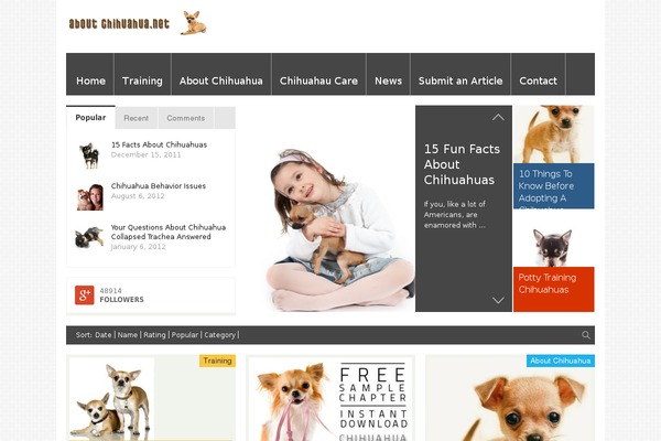 FlyingNews theme site design template sample