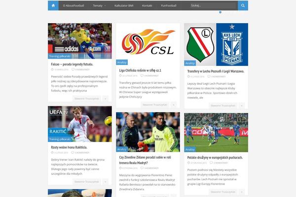 Mts_bridge theme site design template sample