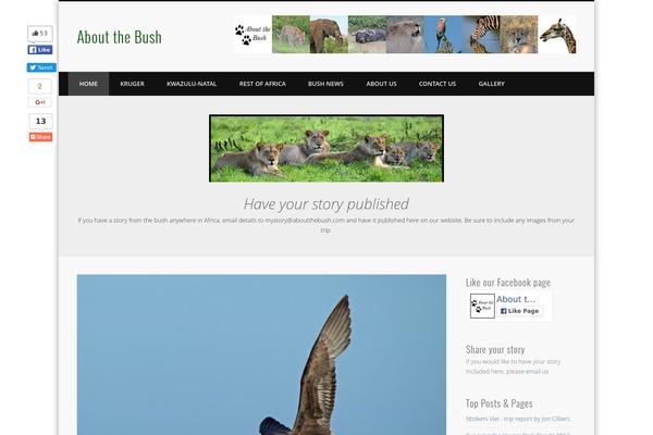 Site using BNS Corner Logo plugin