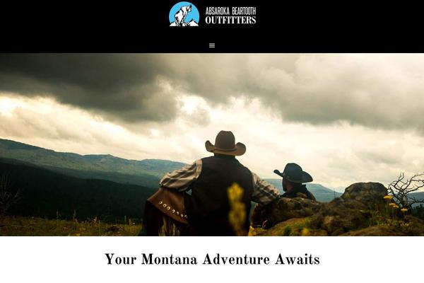 Site using Astra-addon plugin