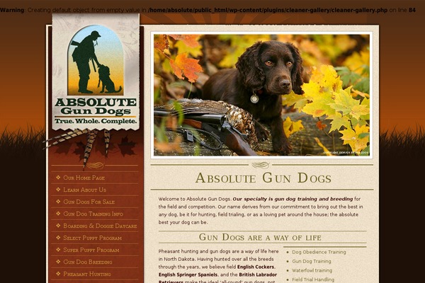 Absolute theme site design template sample