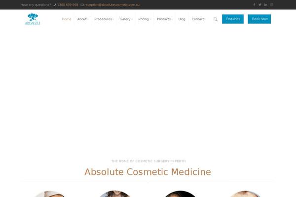 absolutemakeover theme websites examples
