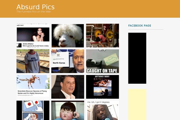 absurdpics.com site used Portfolio Press